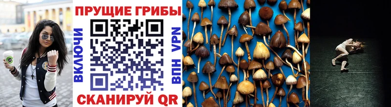 Псилоцибиновые грибы мухоморы  Сызрань 
